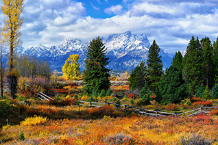 Teton Autumn in Grand Teton National Park