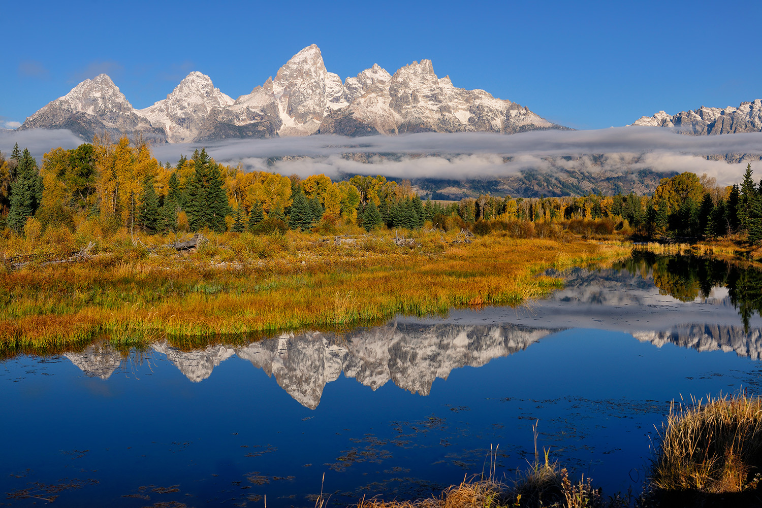 Fine Art Nature Photography from Grand Teton National Park